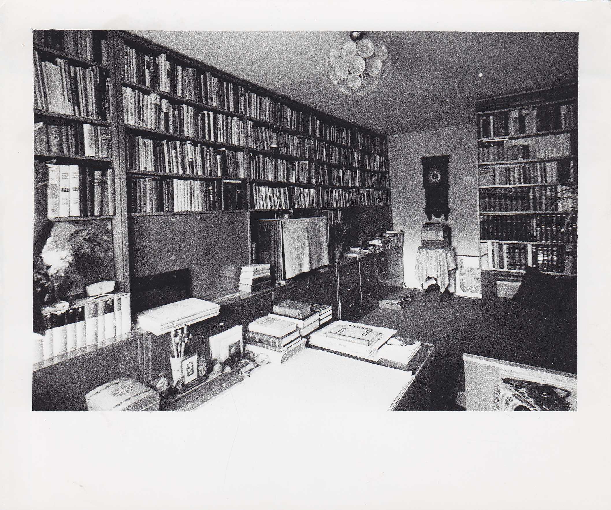 Jono Vytauto Nistelio bibliotekos vaizdas