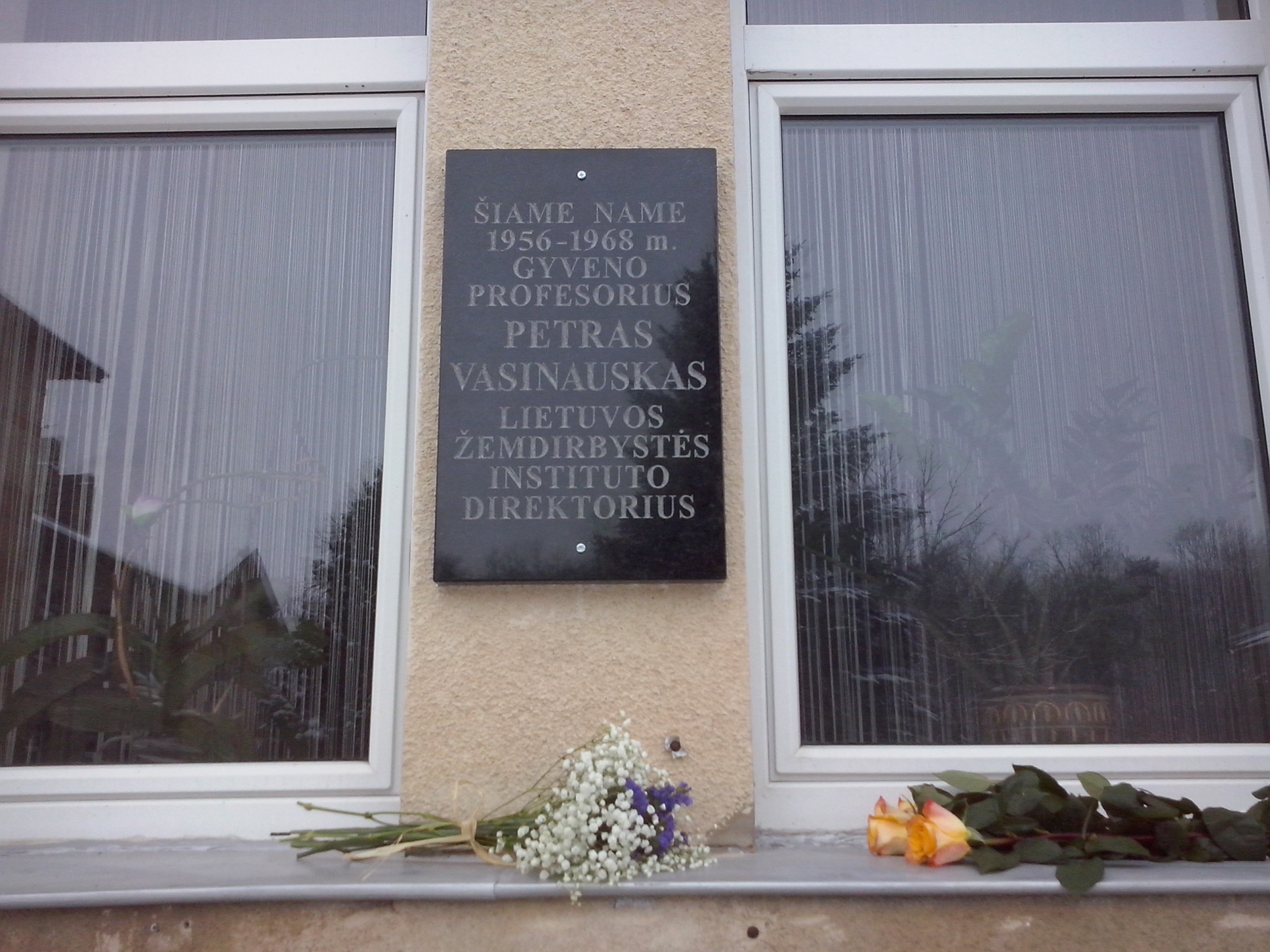 Atminimo lenta prof. Petrui Vasinauskui J. Krikščiūno gatvėje, Akademijoje