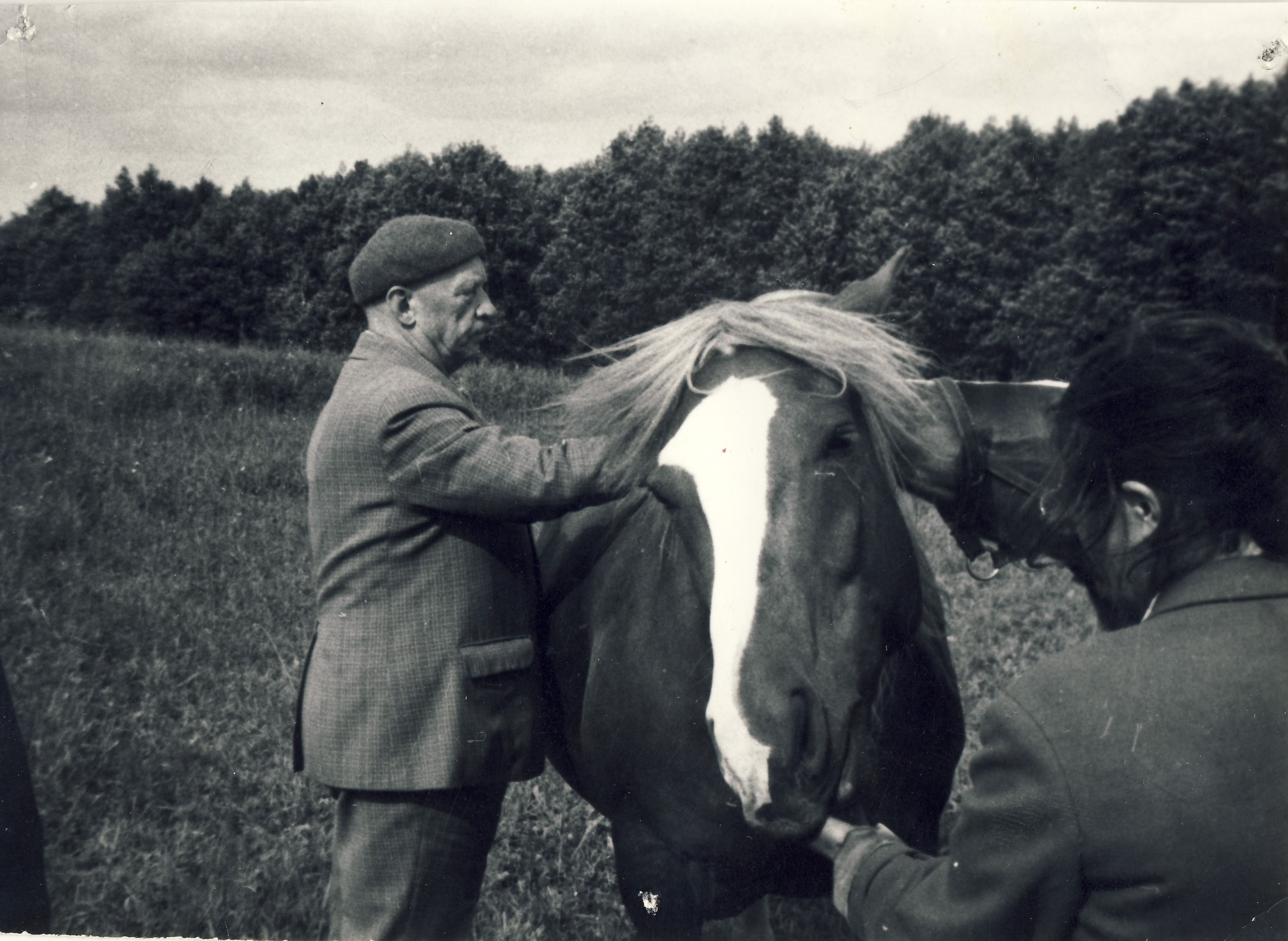 Prof. Petras Vasinauskas Užpaliuose, Viktorijos Jovarienės ūkyje. 1984 m.