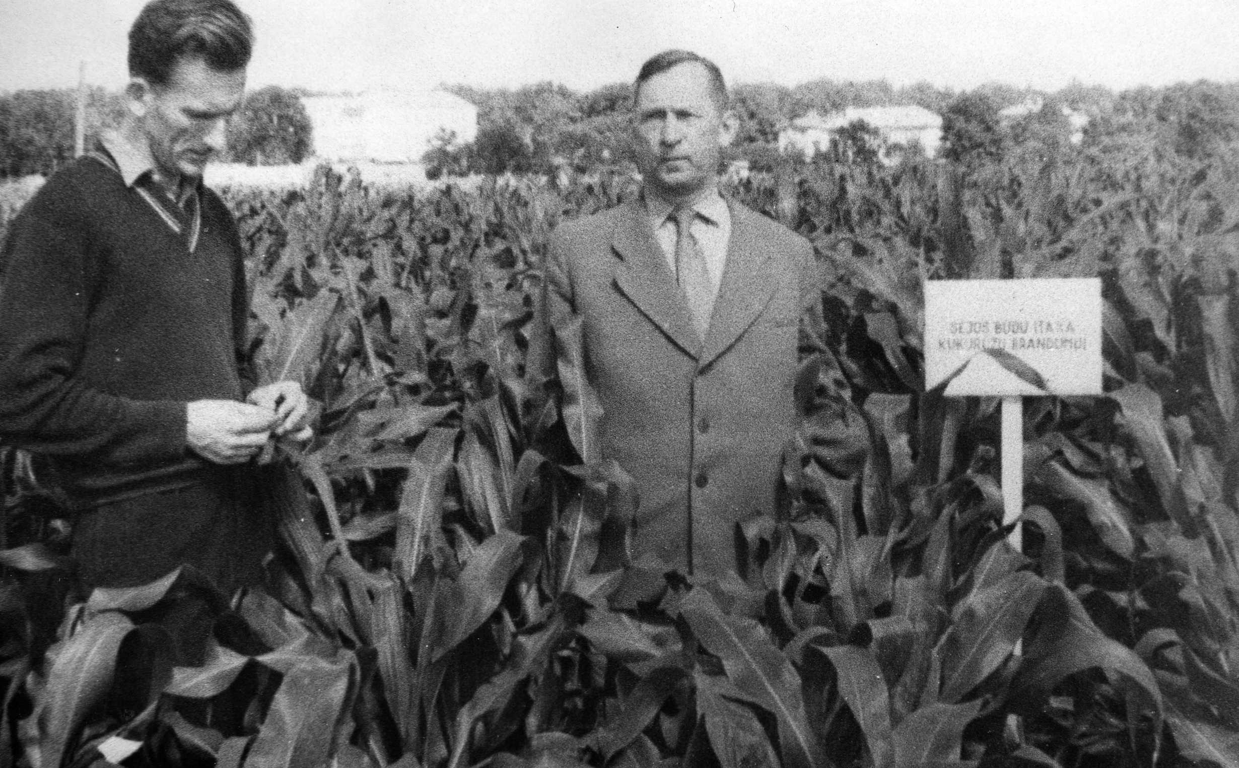 Lietuvos žemdirbystės instituto direktorius Petras Vasinauskas (dešinėje) su A. Budvyčiu. 1962 m.