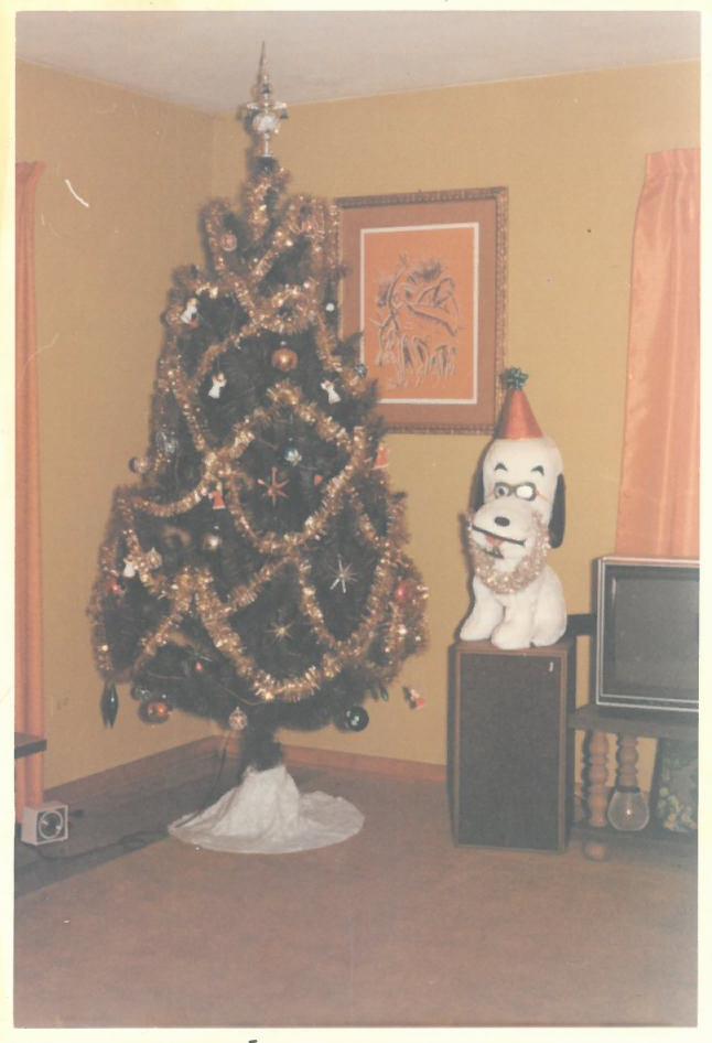 Kazio Balčiūno namų svetainėje papuošta kalėdinė eglutė. Lemontas, Čikagos priemiestis, JAV