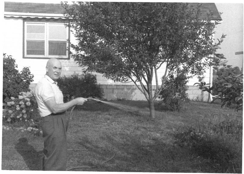 Kazys Balčiūnas savo namų kieme laisto sodą. Lemontas, Čikagos priemiestis, JAV