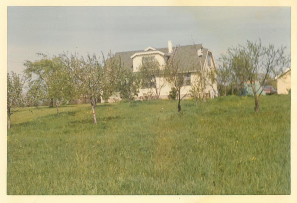 Kazio Balčiūno namas vaismedžių fone. Lemontas, Čikagos priemiestis, JAV