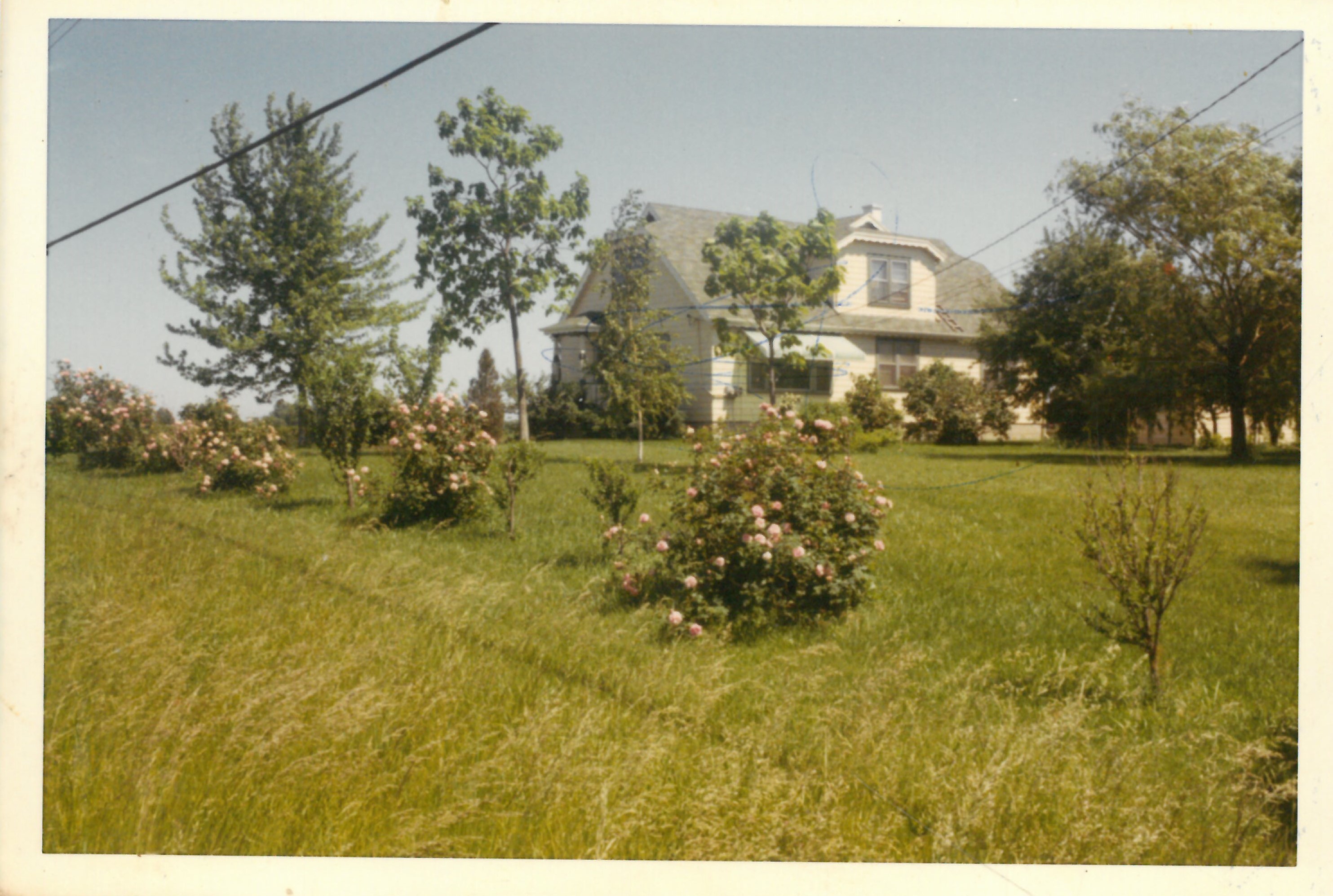 Kazio Balčiūno namai. Šalia gyveno rašytojo Mariaus Katiliškio šeima. Lemontas, Čikagos priemiestis, JAV