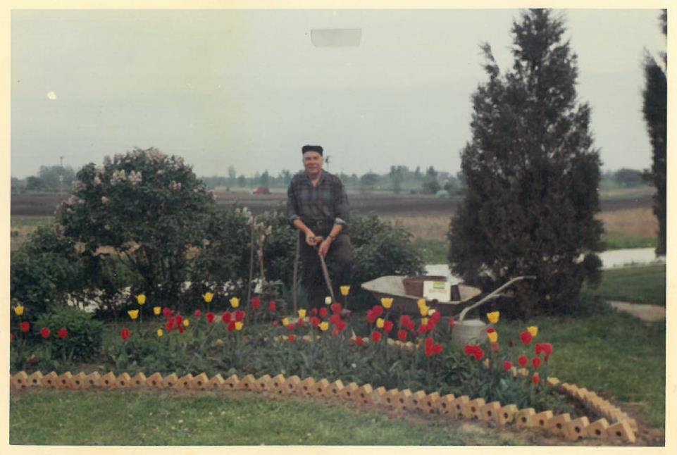Kazys Balčiūnas savo namų sode. Lemontas, Čikagos priemiestis, JAV