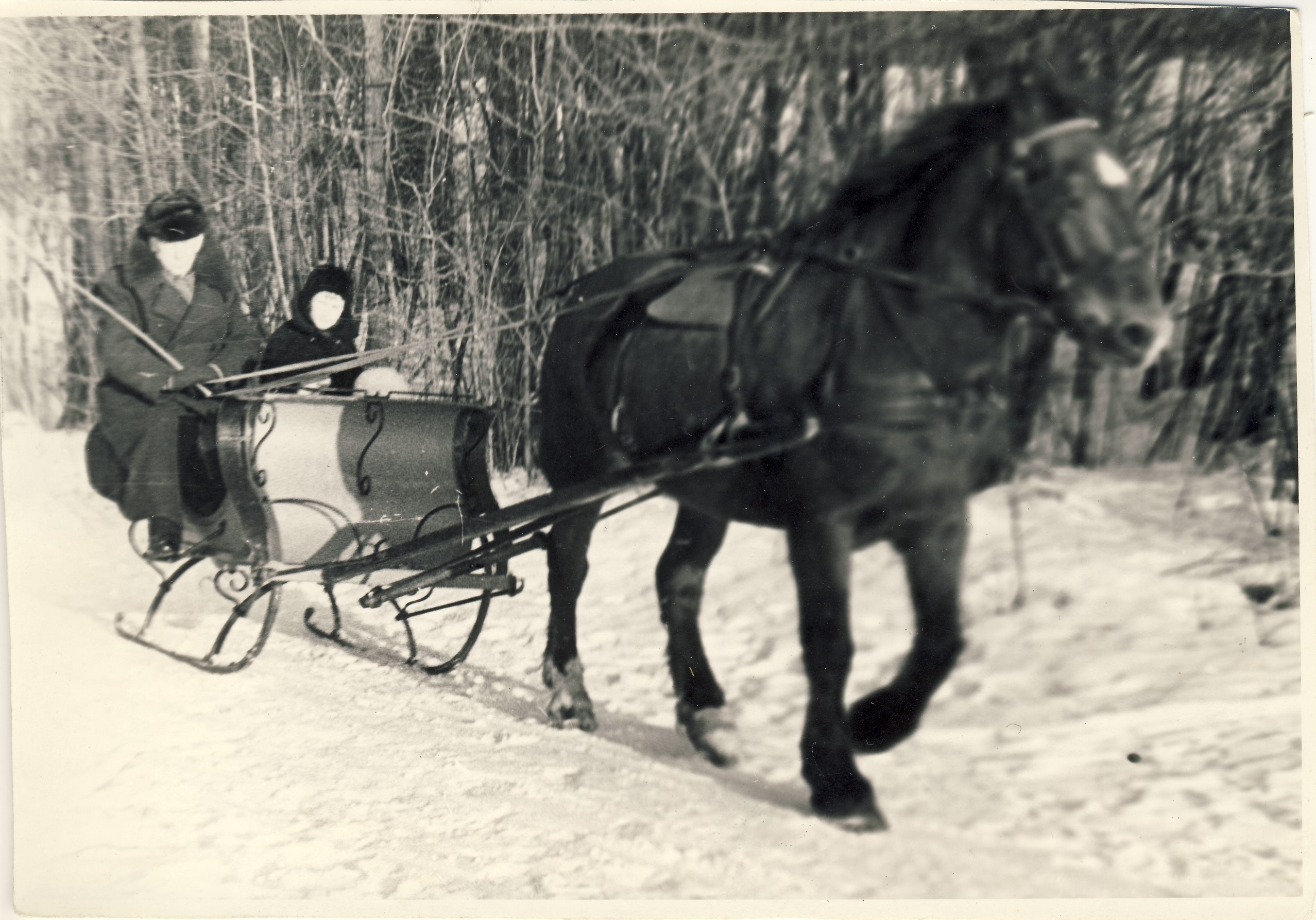 Profesorius, agronomas Petras Vasinauskas su anūku Dariumi Noreikiškių kaime, Kauno rajone. 1976 m.