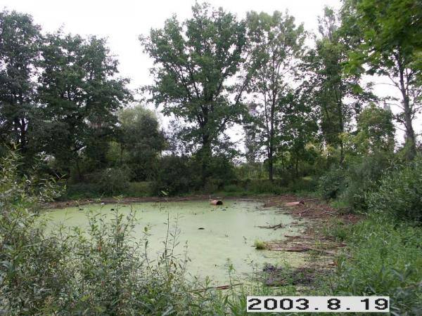 Dagilynės dvaro sodybos prūdas. Lietuvos dvarų duomenų bazė [interaktyvus]. Prieiga per internetą: http://www.heritage.lt/dvarai/foto.php?id=307