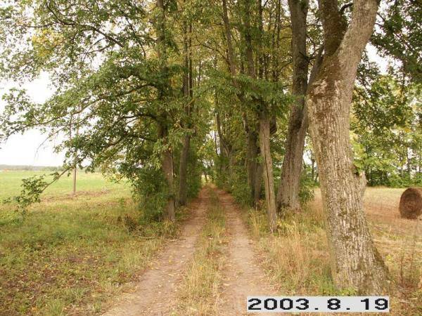 Sokų dvaro liepų alėja. Lietuvos dvarų duomenų bazė [interaktyvus]. Prieiga per internetą: http://www.heritage.lt/dvarai/foto.php?id=325.