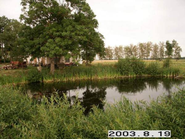 Sokų dvaro prūdas. Lietuvos dvarų duomenų bazė [interaktyvus]. Prieiga per internetą: http://www.heritage.lt/dvarai/foto.php?id=325.