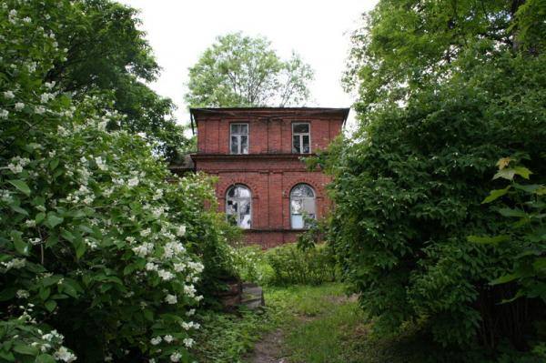 Tokie tarp medžių besislepiantys Žilpamūšio dvaro rūmai. Gražvydo Balčiūnaičio nuotrauka, 2012