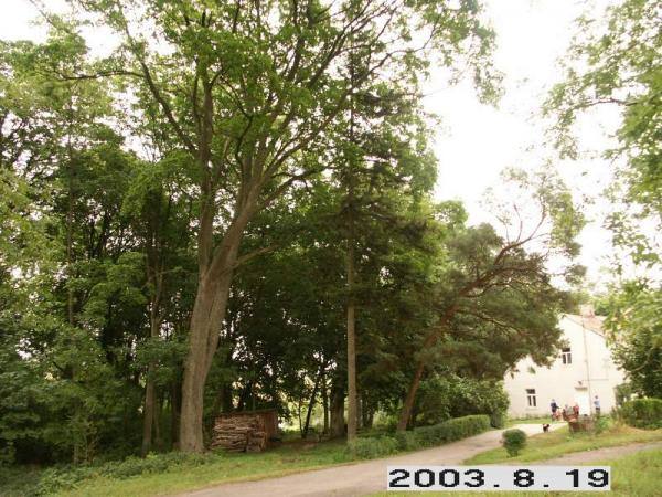 Žilpamūšio dvaro parko fragmentas. Lietuvos dvarų duomenų bazė [interaktyvus]. Prieiga per internetą:  http://www.heritage.lt/dvarai/foto.php?id=329#1. 