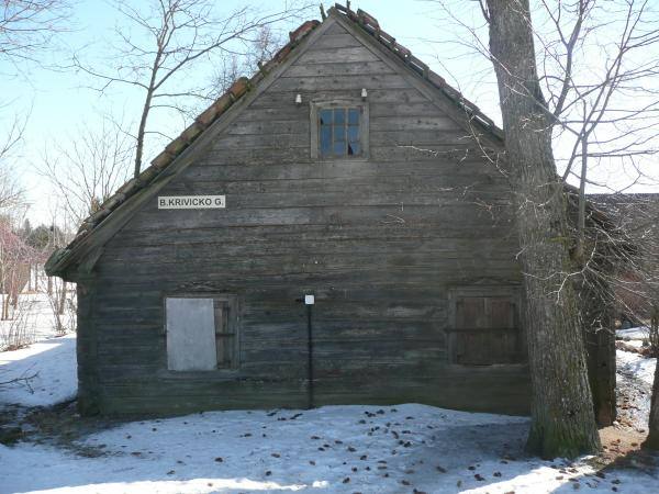 Poeto, partizano Broniaus Krivicko gimtojo namo fragmentas. Tomos Mikalajūnaitės nuotrauka, 2013