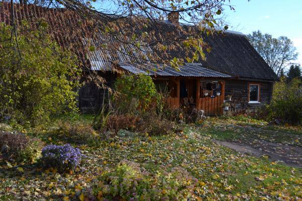 Poeto, partizano Broniaus Krivicko gimtojo namo fragmentas. Nuotrauka iš Pasvalio Mariaus Katiliškio viešosios bibliotekos Krašto kultūros dokumentavimo centro fondų, 2015