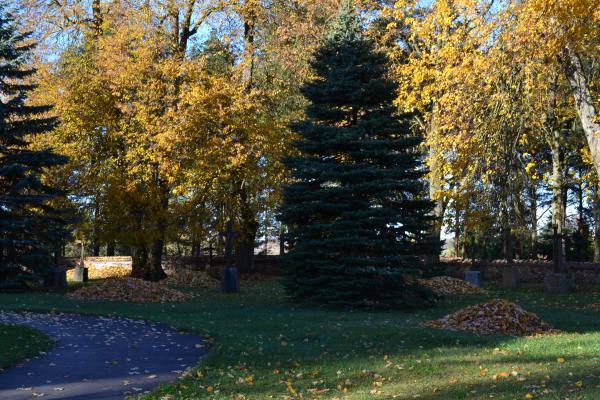 Daujėnų Švč. Jėzaus Vardo bažnyčios šventoriaus fragmentas. Nuotrauka iš Pasvalio Mariaus Katiliškio viešosios bibliotekos Krašto kultūros dokumentavimo centro fondų, 2015