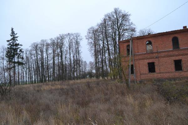 Meškalaukio dvaro liepų alėja. Nuotrauka iš Pasvalio Mariaus Katiliškio viešosios bibliotekos Krašto kultūros dokumentavimo centro fondų, 2015
