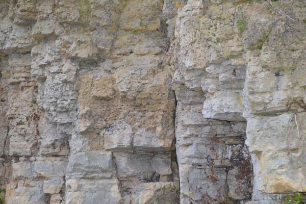 Skalių kalnas. Nuotrauka iš Pasvalio Mariaus Katiliškio viešosios bibliotekos Krašto kultūros dokumentavimo centro fondų, 2015