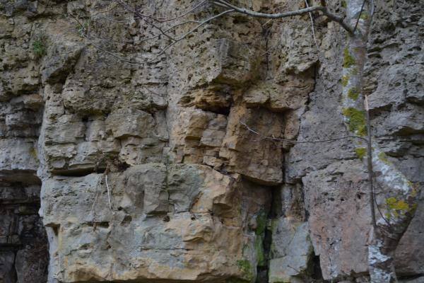 Skalių kalnas. Nuotrauka iš Pasvalio Mariaus Katiliškio viešosios bibliotekos Krašto kultūros dokumentavimo centro fondų, 2015