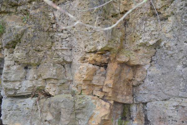Skalių kalnas. Nuotrauka iš Pasvalio Mariaus Katiliškio viešosios bibliotekos Krašto kultūros dokumentavimo centro fondų, 2015
