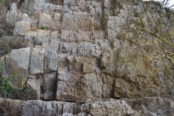 Skalių kalnas. Nuotrauka iš Pasvalio Mariaus Katiliškio viešosios bibliotekos Krašto kultūros dokumentavimo centro fondų, 2015