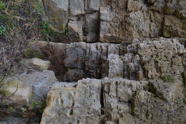 Skalių kalnas. Nuotrauka iš Pasvalio Mariaus Katiliškio viešosios bibliotekos Krašto kultūros dokumentavimo centro fondų, 2015