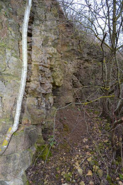 Skalių kalnas. Nuotrauka iš Pasvalio Mariaus Katiliškio viešosios bibliotekos Krašto kultūros dokumentavimo centro fondų, 2015