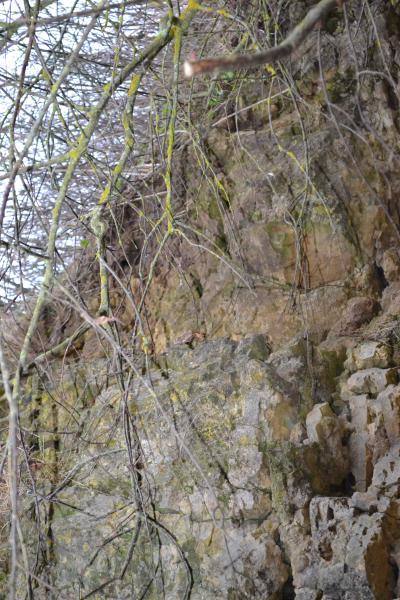 Skalių kalnas. Nuotrauka iš Pasvalio Mariaus Katiliškio viešosios bibliotekos Krašto kultūros dokumentavimo centro fondų, 2015