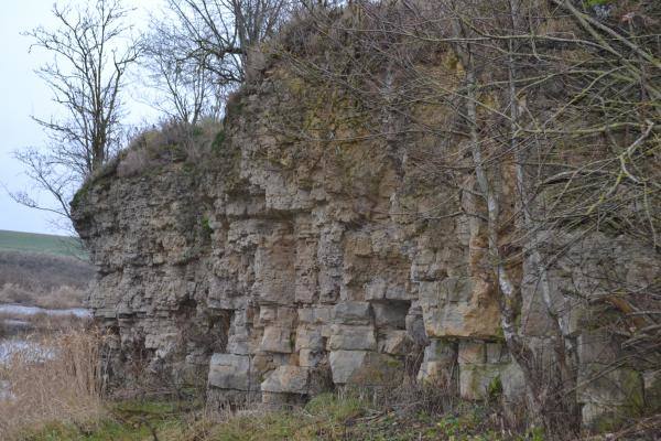 Skalių kalnas. Nuotrauka iš Pasvalio Mariaus Katiliškio viešosios bibliotekos Krašto kultūros dokumentavimo centro fondų, 2015
