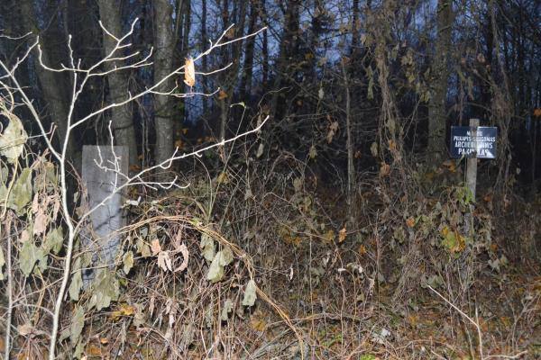 Melėnų pilkapynas, vadinamas Milžinų kapais. Nuotrauka iš Pasvalio Mariaus Katiliškio viešosios bibliotekos Krašto kultūros dokumentavimo centro fondų, 2015