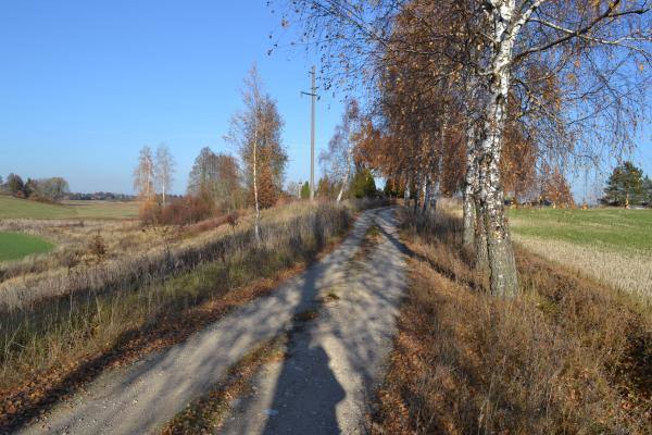 Kelias link Saudogalos piliakalnio. Nuotrauka iš Pasvalio Mariaus Katiliškio viešosios bibliotekos Krašto kultūros dokumentavimo centro fondų, 2015