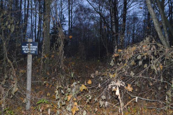 Melėnų pilkapynas, vadinamas Milžinų kapais. Nuotrauka iš Pasvalio Mariaus Katiliškio viešosios bibliotekos Krašto kultūros dokumentavimo centro fondų, 2015
