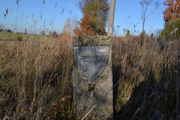 Saudogalos piliakalnis. Nuotrauka iš Pasvalio Mariaus Katiliškio viešosios bibliotekos Krašto kultūros dokumentavimo centro fondų, 2015