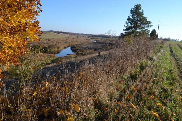 Saudogalos piliakalnis. Nuotrauka iš Pasvalio Mariaus Katiliškio viešosios bibliotekos Krašto kultūros dokumentavimo centro fondų, 2015