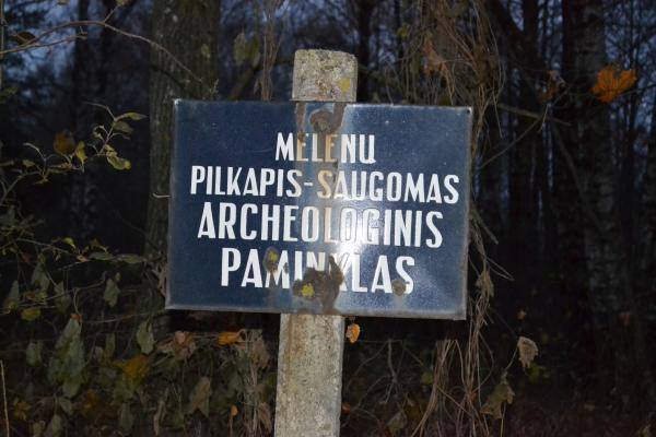 Melėnų pilkapynas, vadinamas Milžinų kapais. Nuotrauka iš Pasvalio Mariaus Katiliškio viešosios bibliotekos Krašto kultūros dokumentavimo centro fondų, 2015