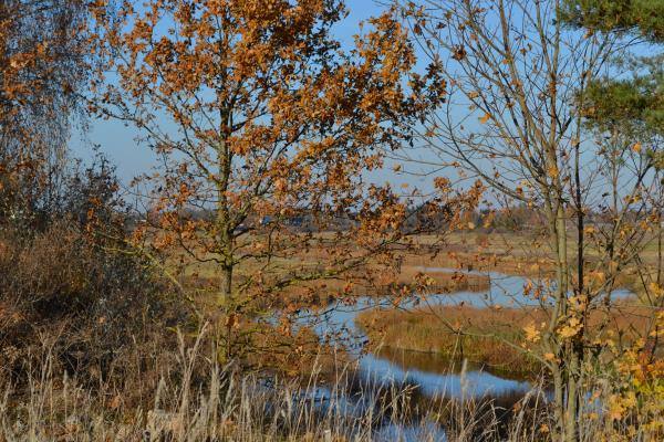 Mūšos upė teka šalia Saudogalos piliakalnio. Nuotrauka iš Pasvalio Mariaus Katiliškio viešosios bibliotekos Krašto kultūros dokumentavimo centro fondų, 2015