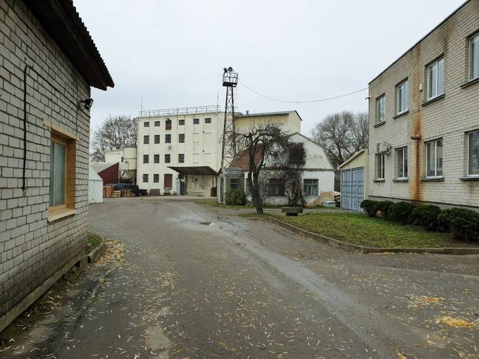 Pasvalio miesto vandens malūno kiemas. Tomos Mikalajūnaitės nuotrauka, 2019 