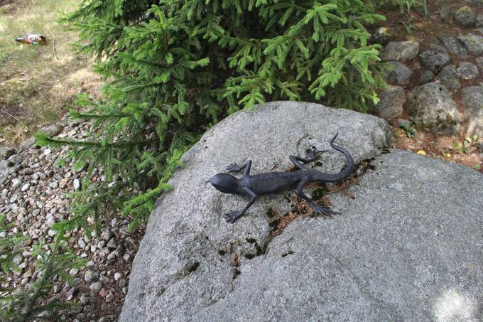 Girnų muziejus Pasvalyje. Aidos Leimontaitės nuotrauka 2019