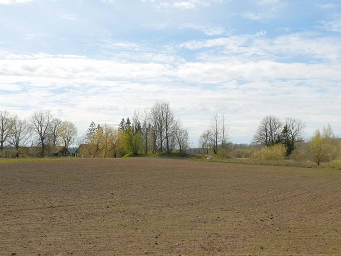 Seniau Norelius vadino Užkape, nes čia yra buvusios net 4 kapinės. Fotografijoje II kapinės nuo kelio Joniškis–Žeimelis–Pasvalys (209). Tomos Mikalajūnaitės nuotrauka, 2020