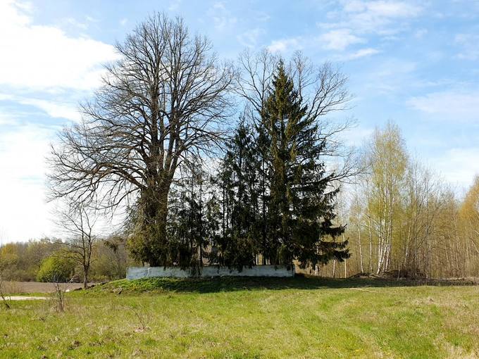 Seniau Norelius vadino Užkape, nes čia yra buvusios net 4 kapinės. Fotografijoje III kapinės nuo kelio Joniškis–Žeimelis–Pasvalys (209). Tomos Mikalajūnaitės nuotrauka, 2020