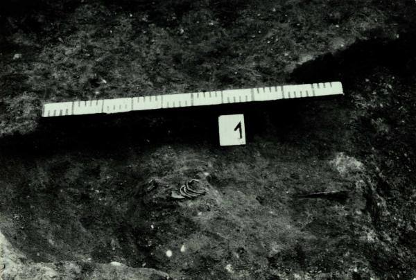 Norelių kapinynas. Perkasa I. Kapas nr. 1 iš šiaurės vakarų pusės: [nuotrauka] // Tebelškis P. Norelių kapinynas: IP 2399/A (Pasvalio r.) 1997 m. žvalgomųjų archeologinių tyrimų ataskaita. – Vilnius, 1997.