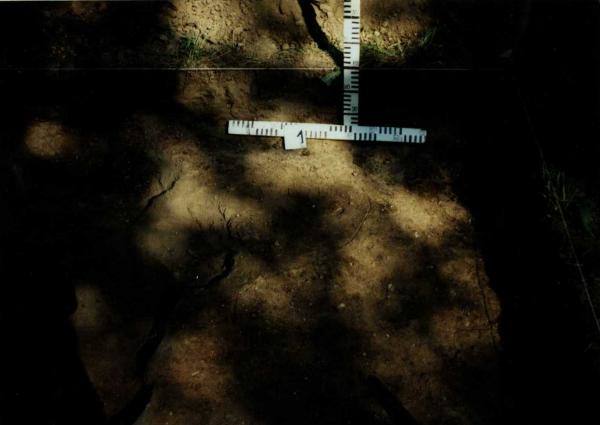 Norelių kapinynas. Perkasa I. Kapo nr. 1 vieta iš vakarų pusės: [nuotrauka] // Tebelškis P. Norelių kapinynas: IP 2399/A (Pasvalio r.) 1997 m. žvalgomųjų archeologinių tyrimų ataskaita. – Vilnius, 1997.