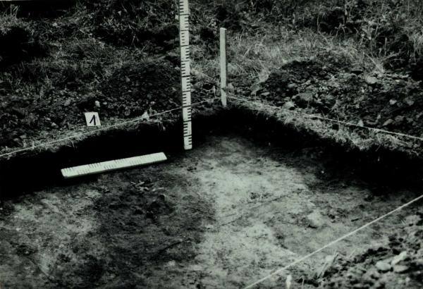 Norelių kapinynas. Perkasa I. Šiaurės vakarų dalies vaizdas iš pietryčių pusės (matyti kapo nr. 2 duobės kontūrai): [nuotrauka] // Tebelškis P. Norelių kapinynas: IP 2399/A (Pasvalio r.) 1997 m. žvalgomųjų archeologinių tyrimų ataskaita. – Vilnius, 1997.