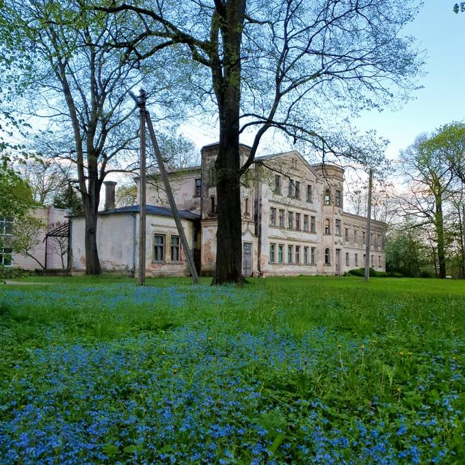 Gulbinėnų dvaro fragmentas. Almos Balčiūnienės nuotrauka, 2020.