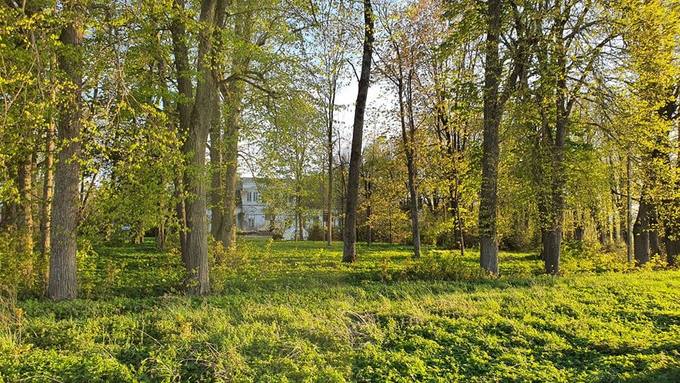 Barklainių dvaras. Almos Balčiūnienės nuotrauka, 2020.