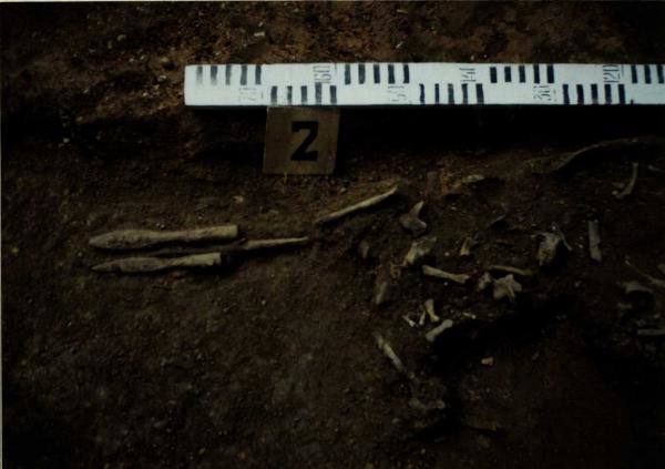 Norelių kapinynas. Perkasa I. Kapas nr. 2. Iš šiaurės rytų pusės: [nuotrauka] // Tebelškis P. Norelių kapinynas: IP 2399/A (Pasvalio r.) 1997 m. žvalgomųjų archeologinių tyrimų ataskaita. – Vilnius, 1997.