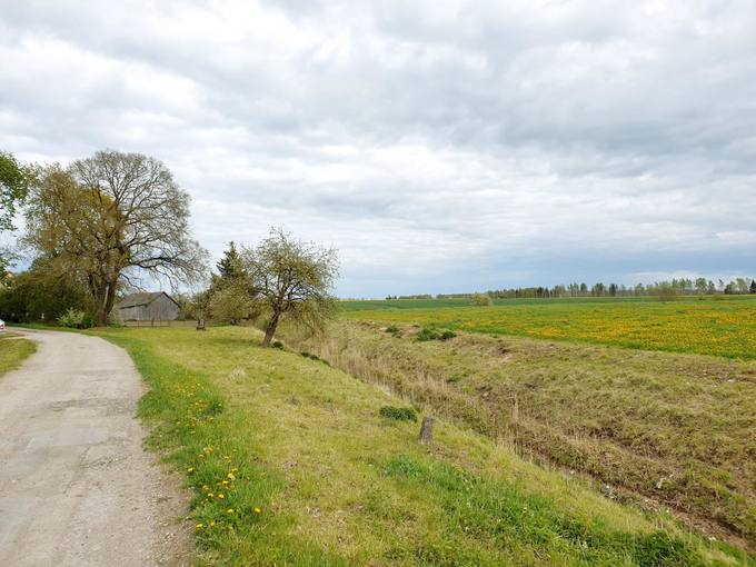Vyskupo Kazimiero Paltaroko tėviškė Gailionių kaime, Linkuvos parapijoje, Šiaulių rajone. Tomos Mikalajūnaitės nuotrauka, 2020