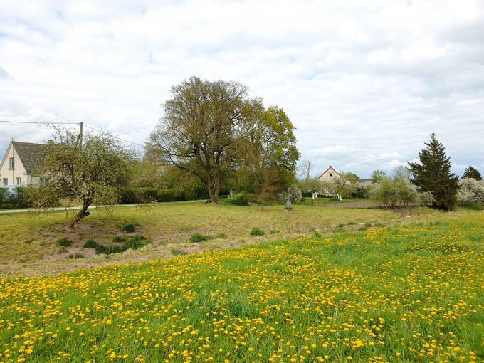 Vyskupo Kazimiero Paltaroko tėviškė Gailionių kaime, Linkuvos parapijoje, Šiaulių rajone. Tomos Mikalajūnaitės nuotrauka, 2020