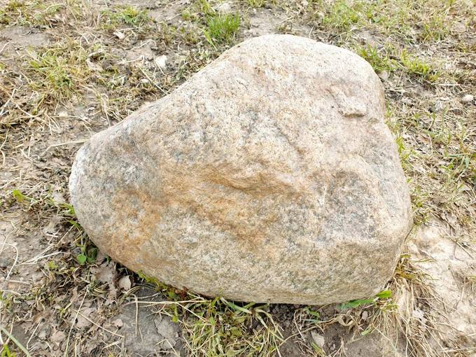 Vyskupo Kazimiero Paltaroko tėviškės teritorijoje galima rasti daug riedulių. Tomos Mikalajūnaitės nuotrauka, 2020