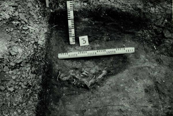 Norelių kapinynas. Perkasa I. Kapas nr. 3 (kv. B-5) iš vakarų pusės: [nuotrauka] // Tebelškis P. Norelių kapinynas: IP 2399/A (Pasvalio r.) 1997 m. žvalgomųjų archeologinių tyrimų ataskaita. – Vilnius, 1997.