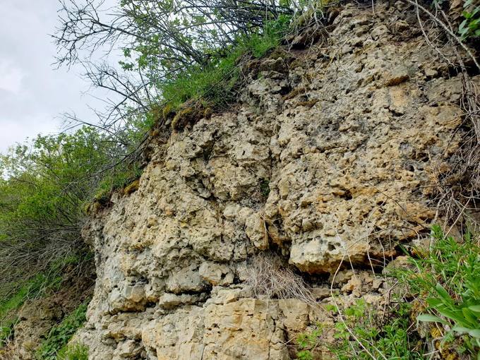 Skalių kalnas. Tomos Mikalajūnaitės nuotrauka, 2020