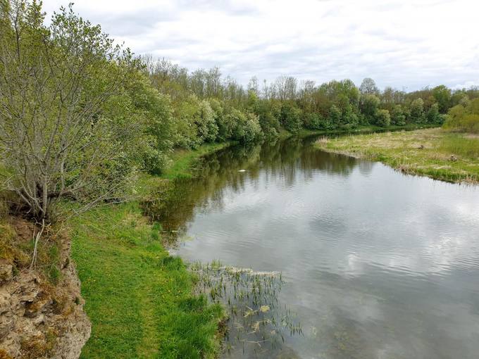 Skalių kalnas ir Mūšos upė. Tomos Mikalajūnaitės nuotrauka, 2020